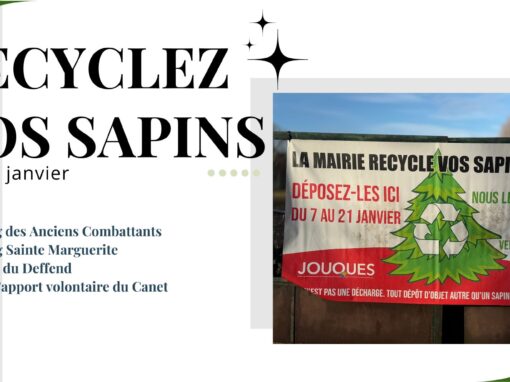 La Mairie recycle vos sapins de Noël !